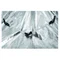Falcon Eyes Opvouwbare Softbox FESB-80120 80x120cm