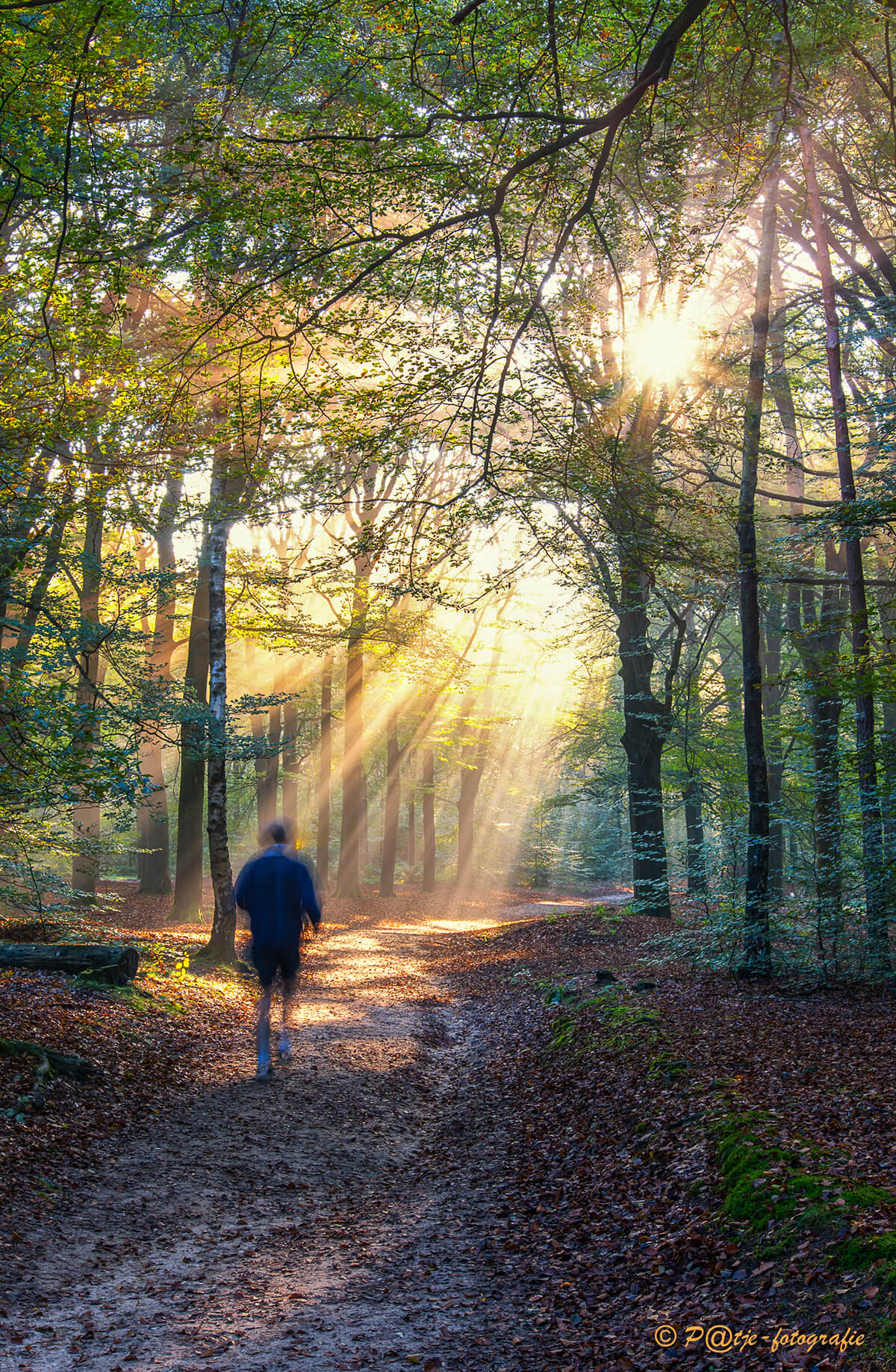 De kleurrijke herfst beleven en vastleggen - 9