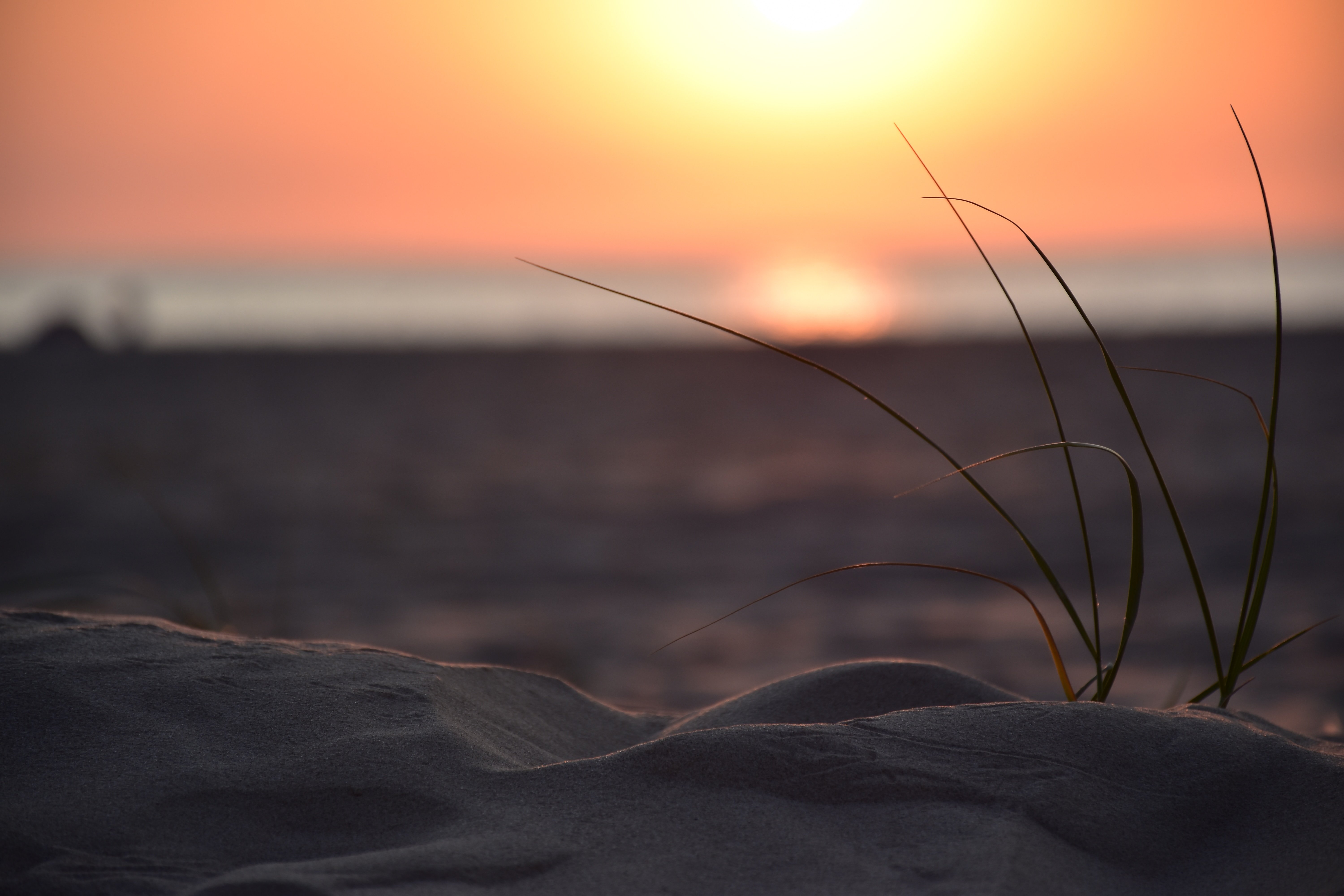 Top 9 fotolocaties op Texel